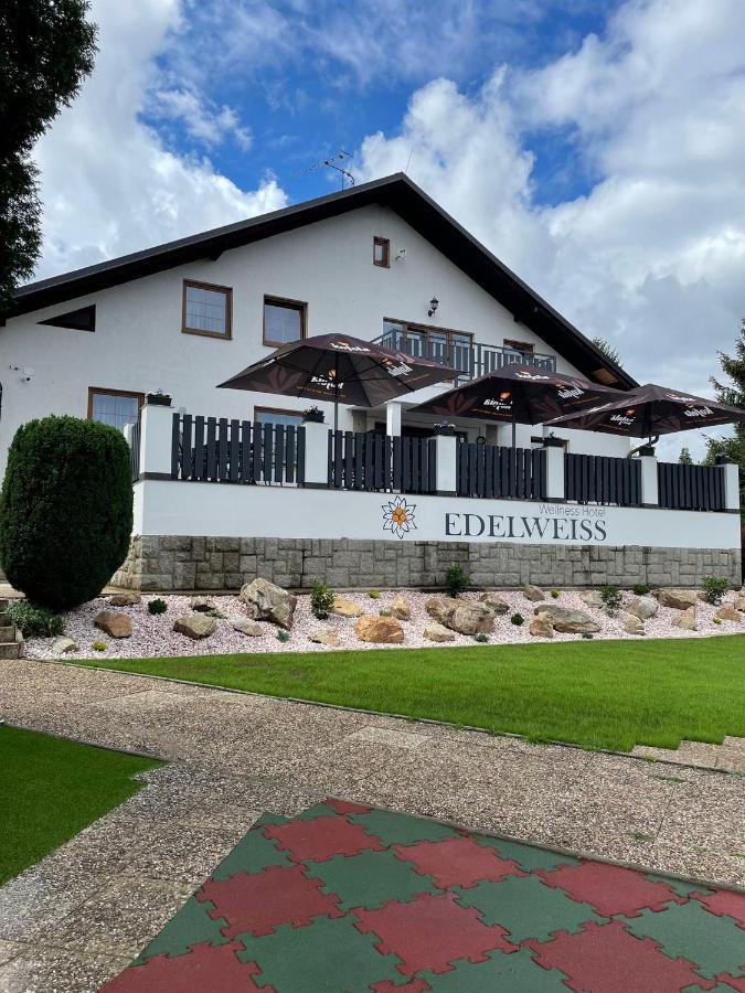 Wellness Hotel Edelweiss Либерец Екстериор снимка